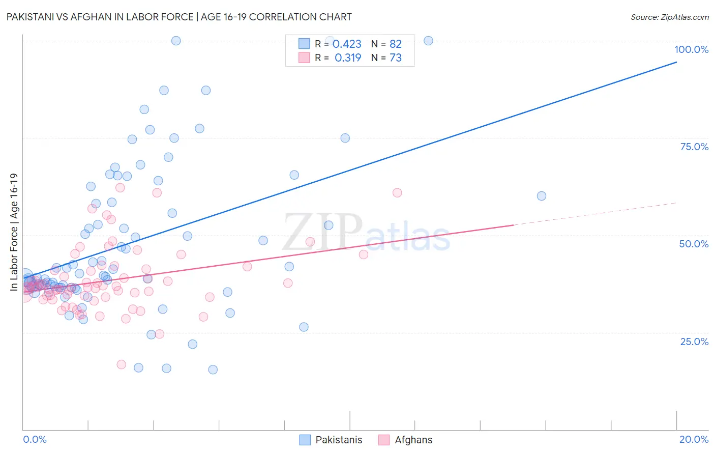 Pakistani vs Afghan In Labor Force | Age 16-19