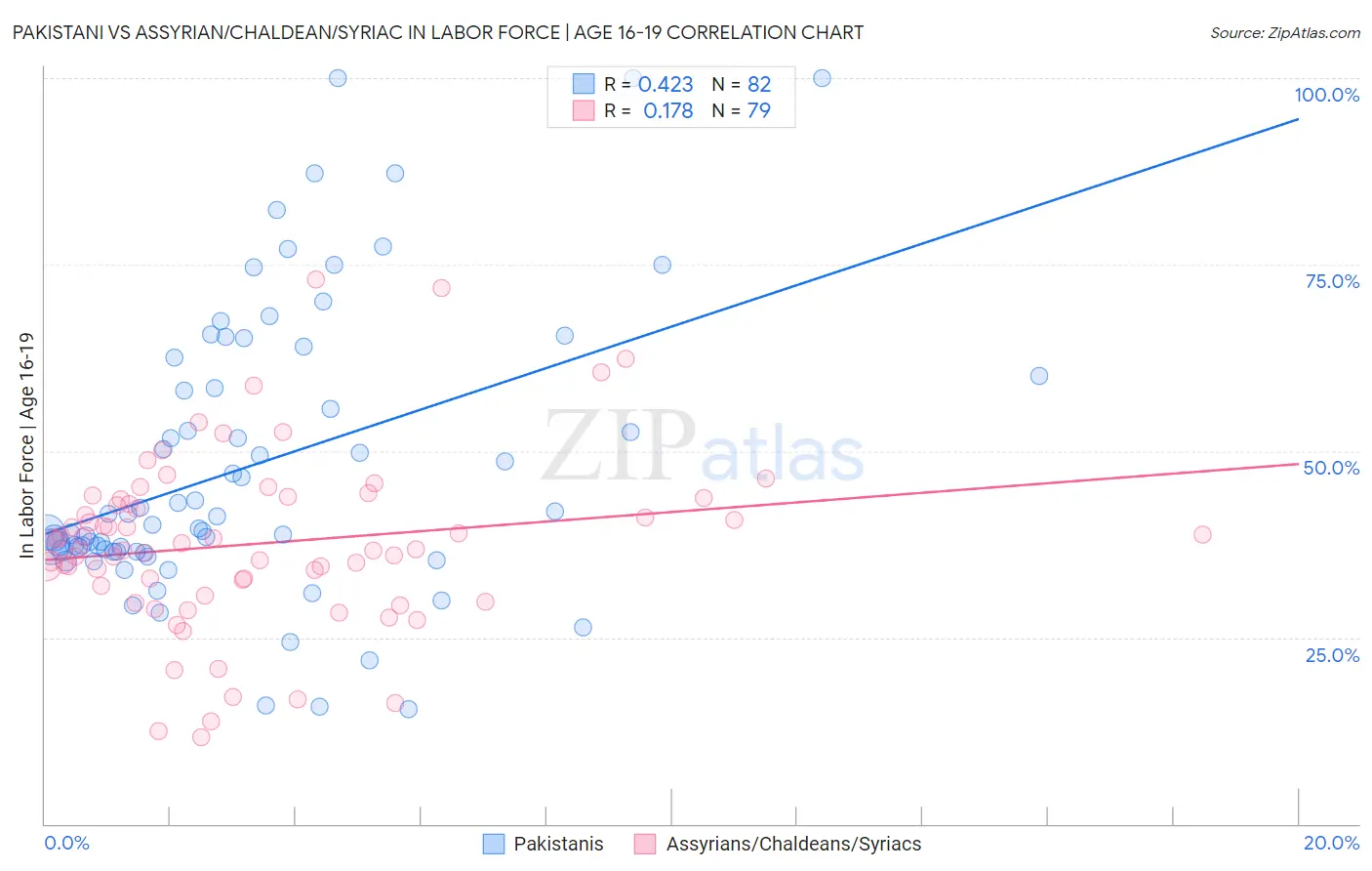 Pakistani vs Assyrian/Chaldean/Syriac In Labor Force | Age 16-19