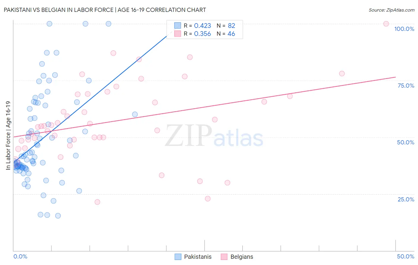 Pakistani vs Belgian In Labor Force | Age 16-19