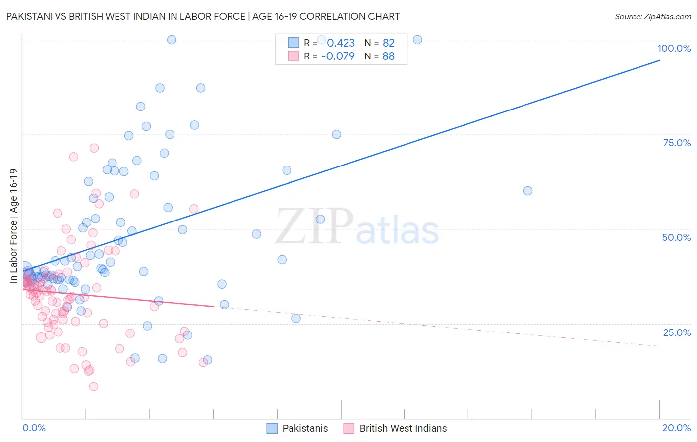 Pakistani vs British West Indian In Labor Force | Age 16-19