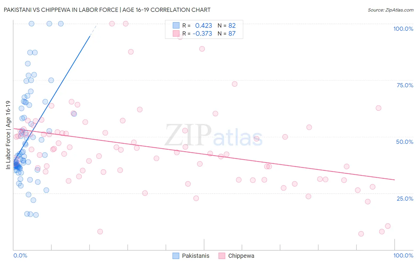 Pakistani vs Chippewa In Labor Force | Age 16-19