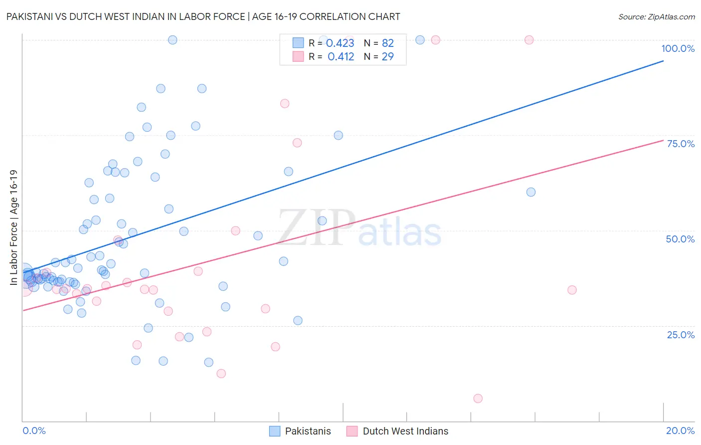 Pakistani vs Dutch West Indian In Labor Force | Age 16-19