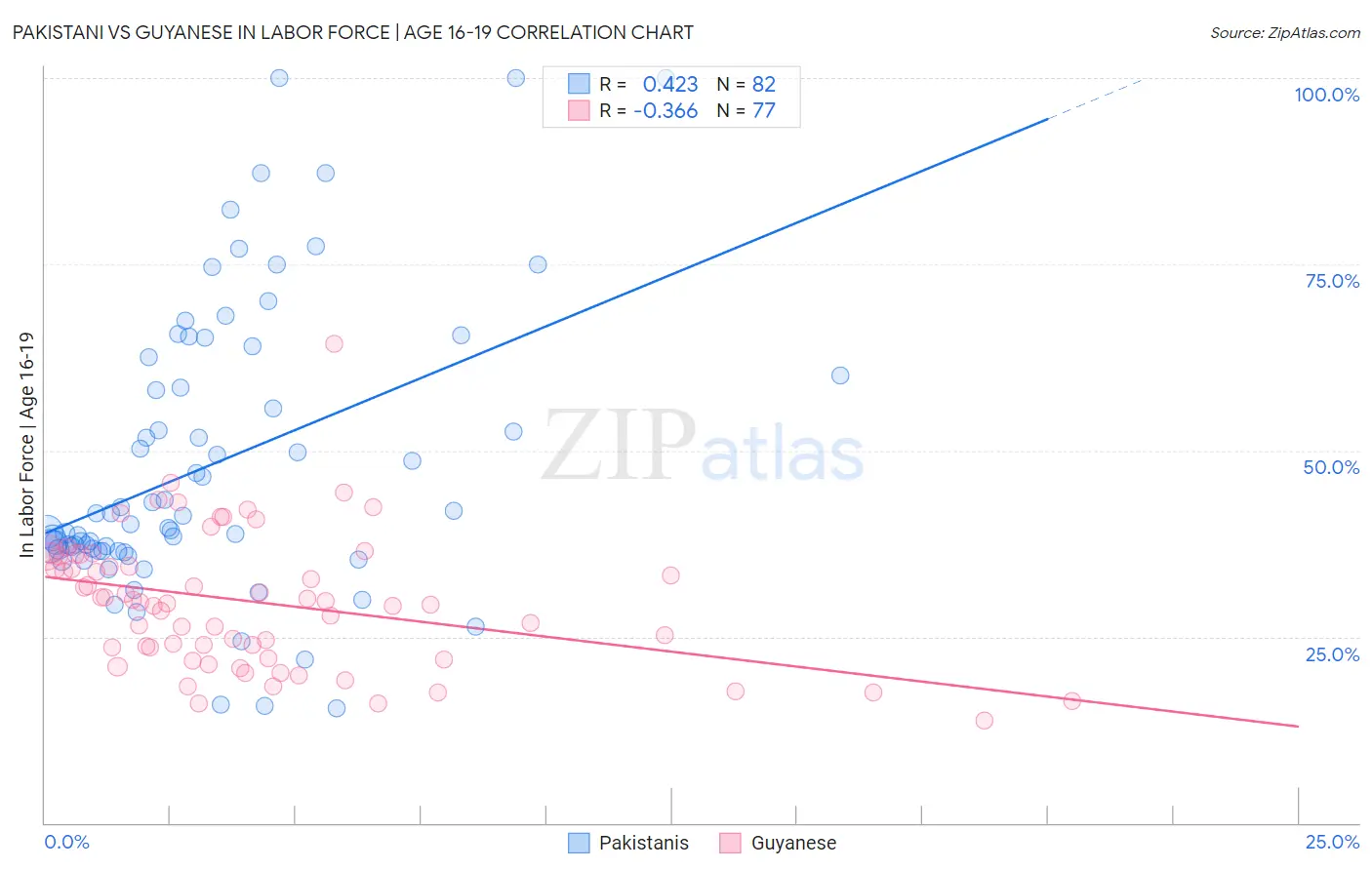 Pakistani vs Guyanese In Labor Force | Age 16-19