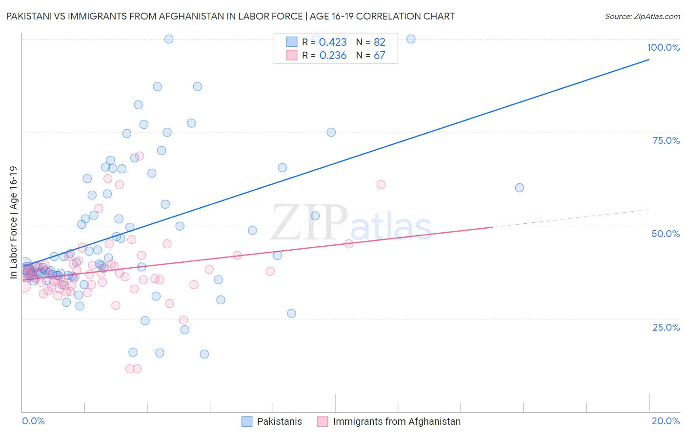 Pakistani vs Immigrants from Afghanistan In Labor Force | Age 16-19