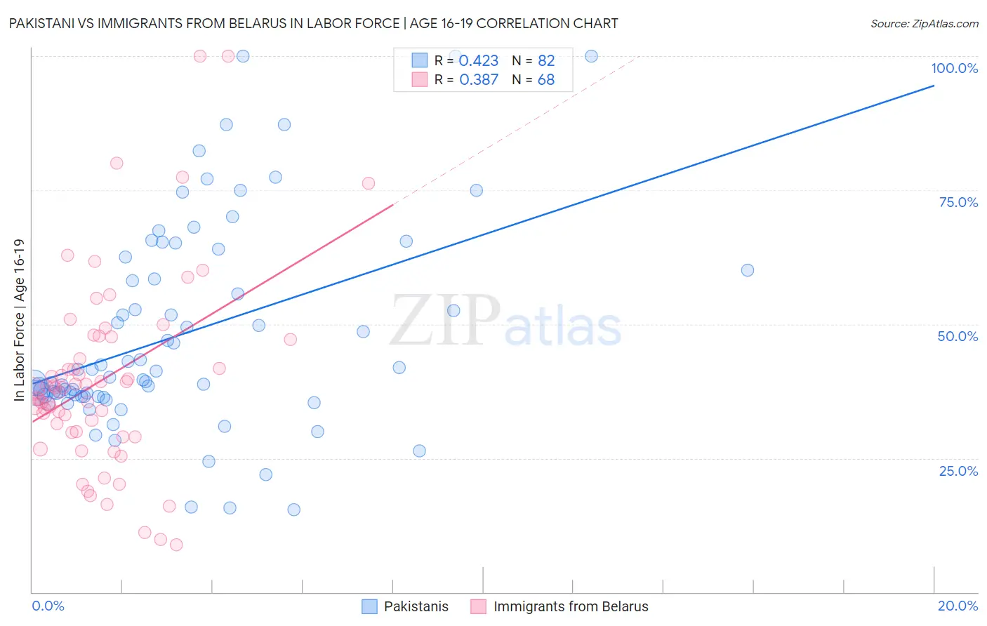 Pakistani vs Immigrants from Belarus In Labor Force | Age 16-19