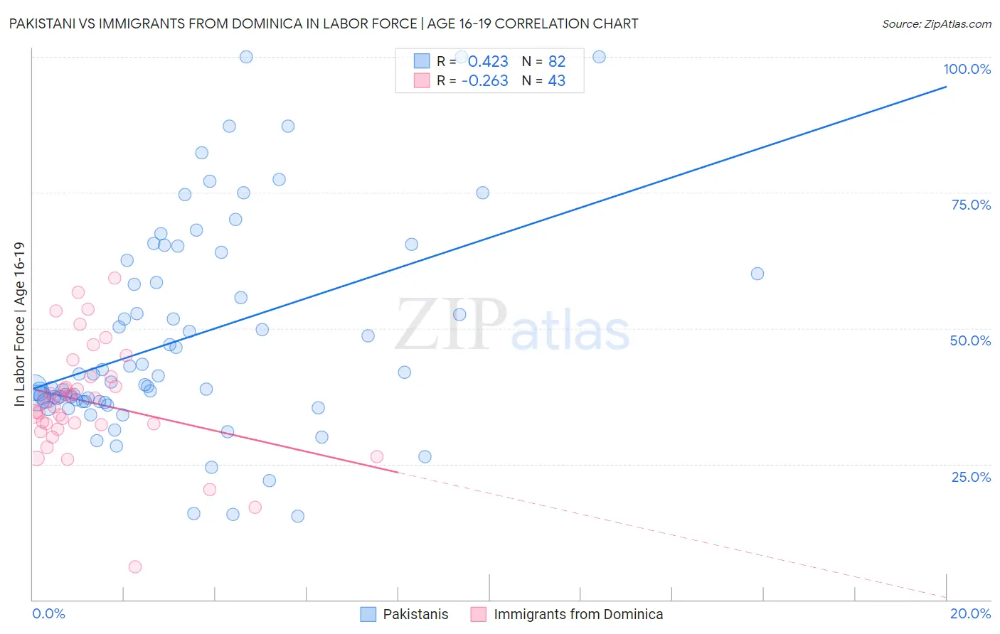 Pakistani vs Immigrants from Dominica In Labor Force | Age 16-19