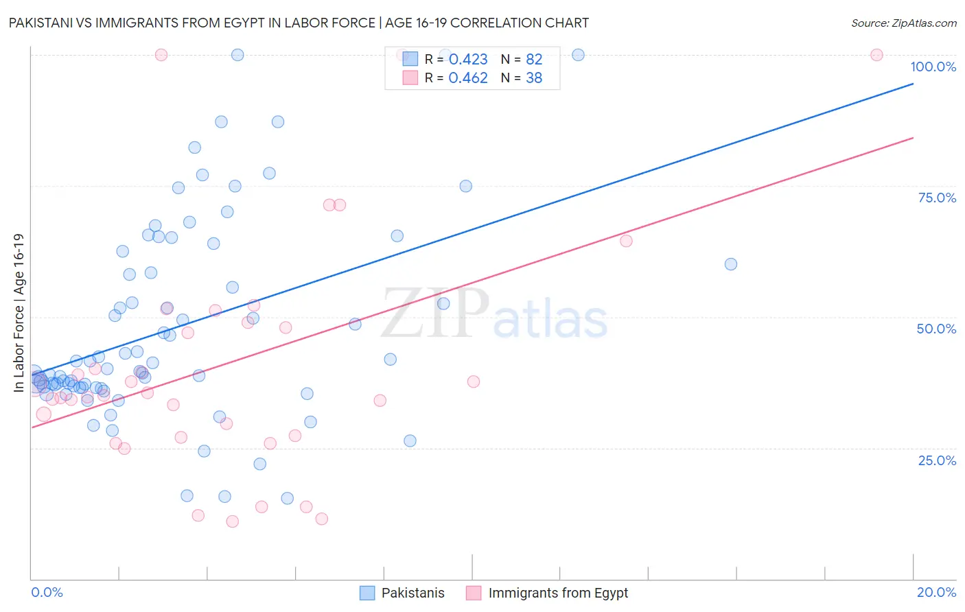 Pakistani vs Immigrants from Egypt In Labor Force | Age 16-19