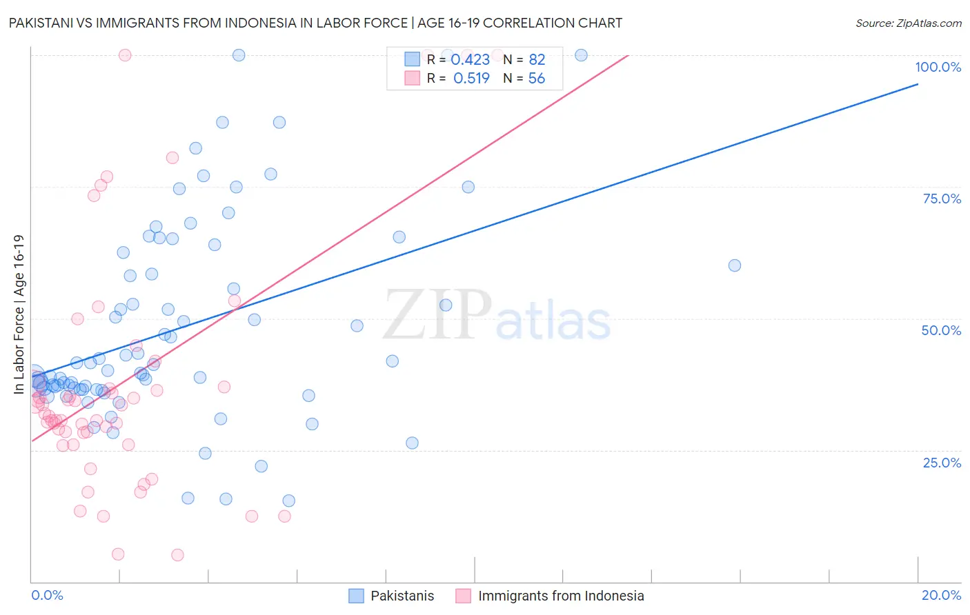 Pakistani vs Immigrants from Indonesia In Labor Force | Age 16-19