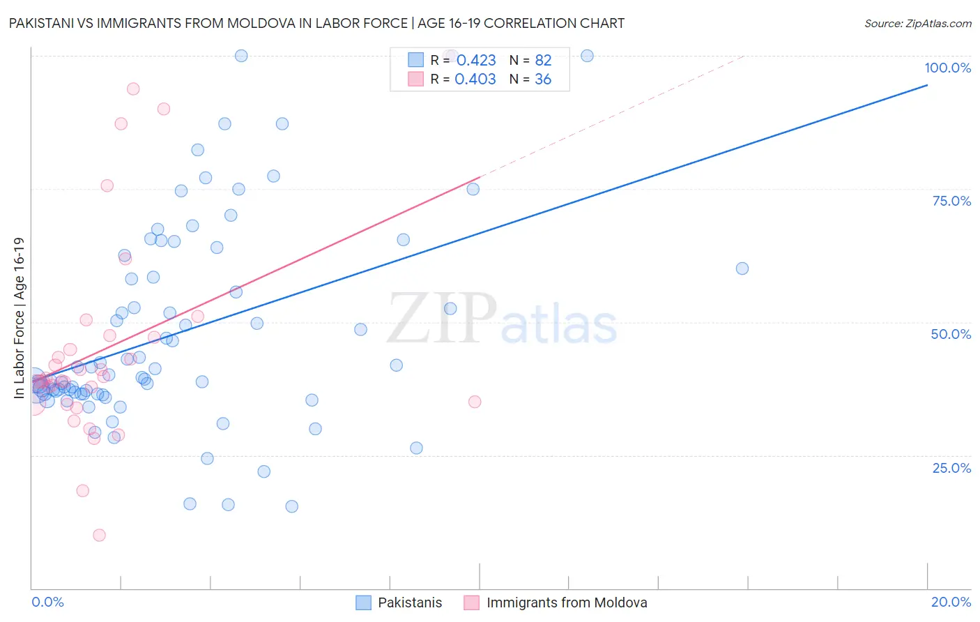 Pakistani vs Immigrants from Moldova In Labor Force | Age 16-19