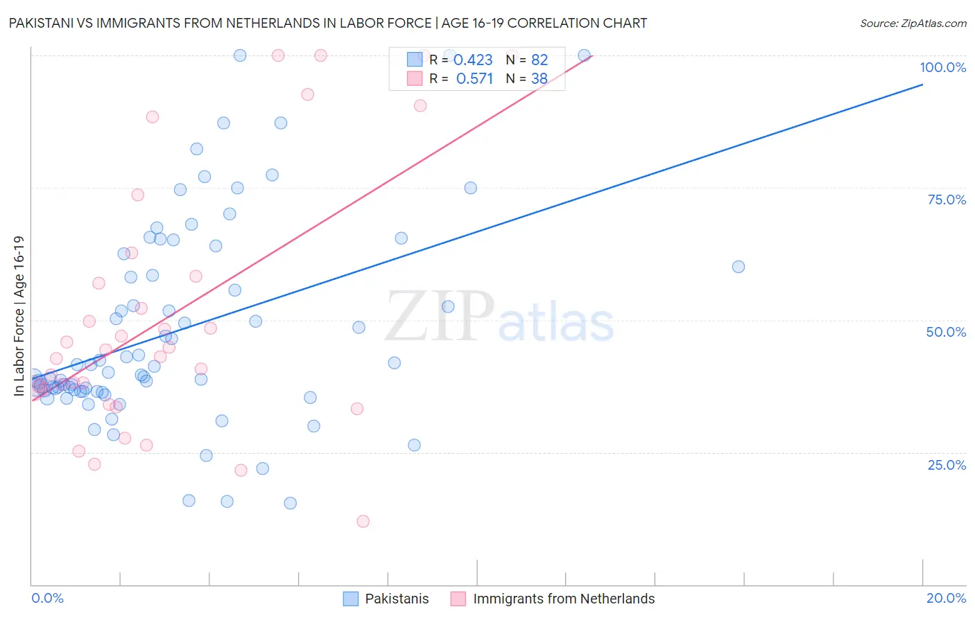 Pakistani vs Immigrants from Netherlands In Labor Force | Age 16-19