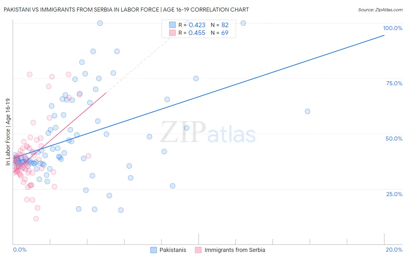 Pakistani vs Immigrants from Serbia In Labor Force | Age 16-19