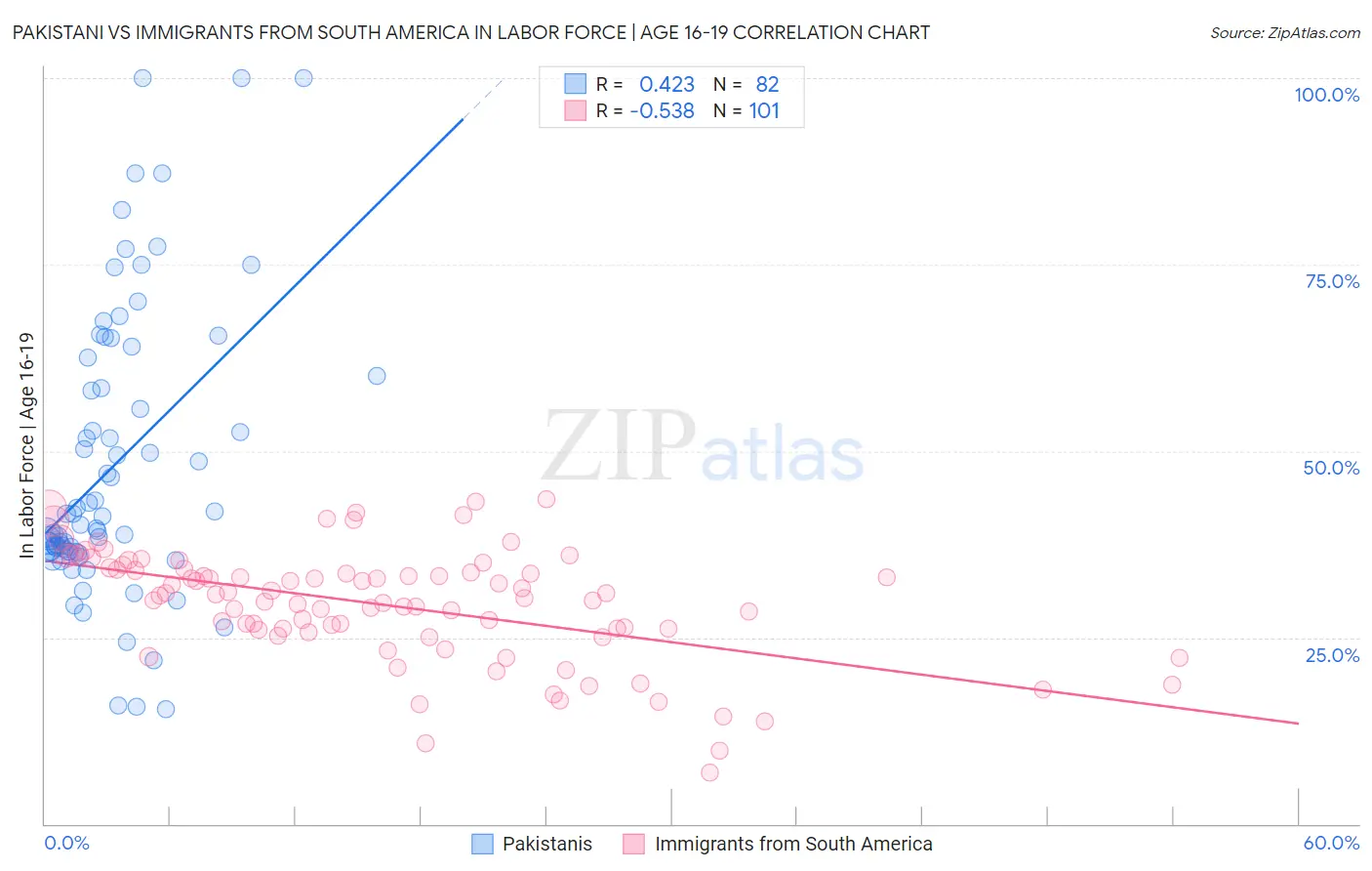 Pakistani vs Immigrants from South America In Labor Force | Age 16-19