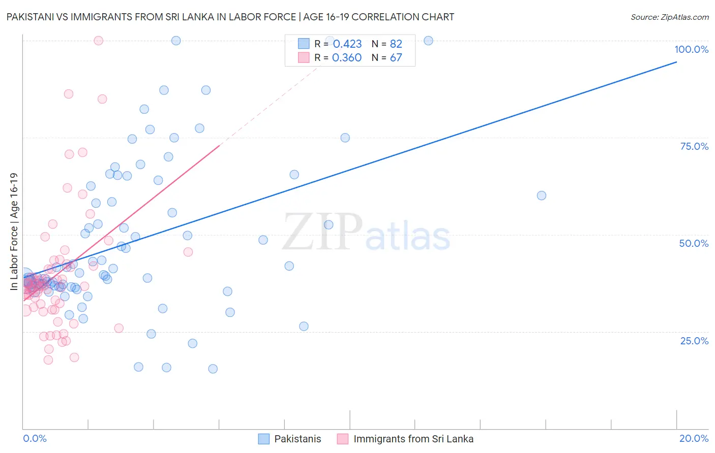 Pakistani vs Immigrants from Sri Lanka In Labor Force | Age 16-19