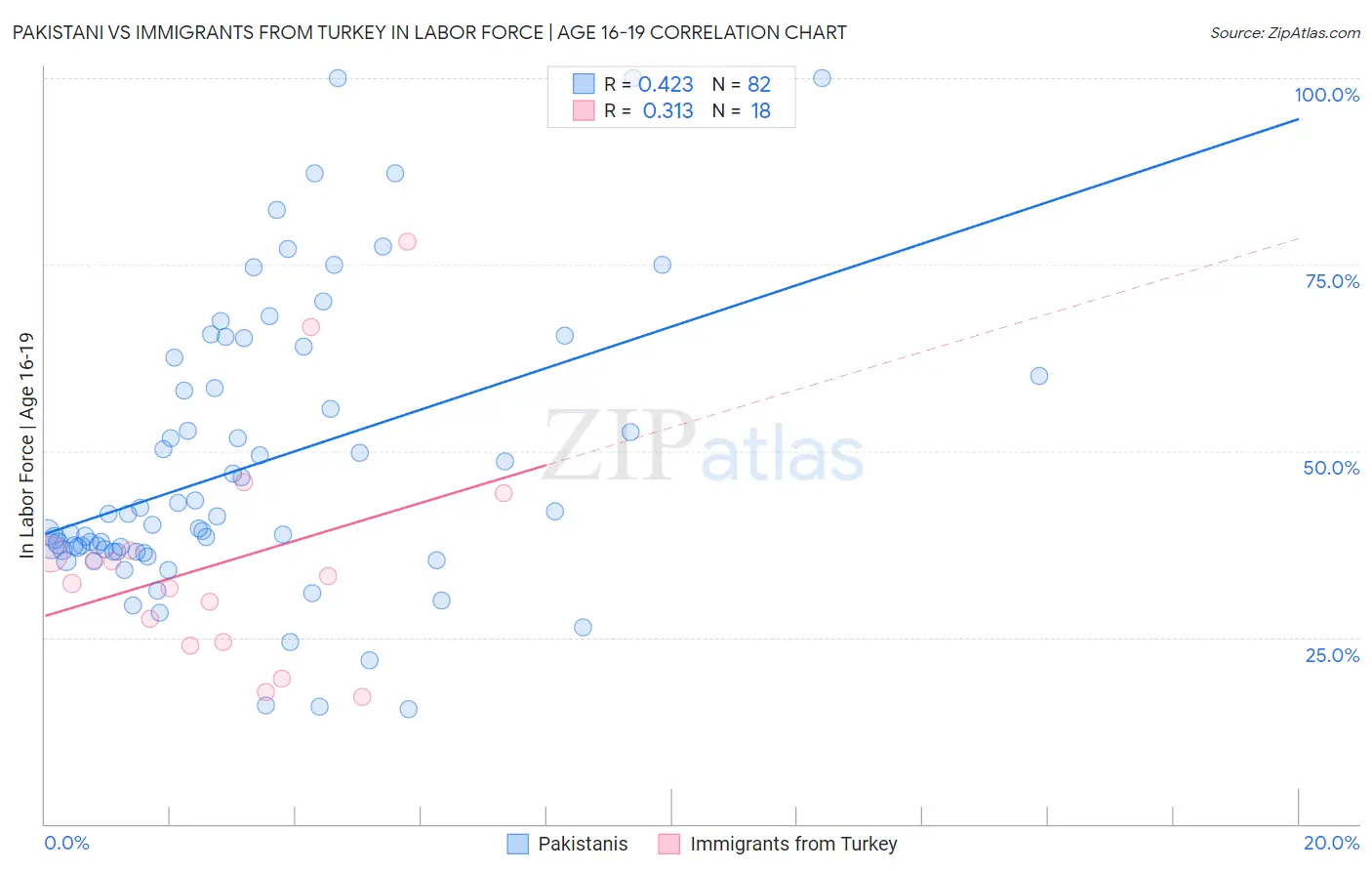 Pakistani vs Immigrants from Turkey In Labor Force | Age 16-19