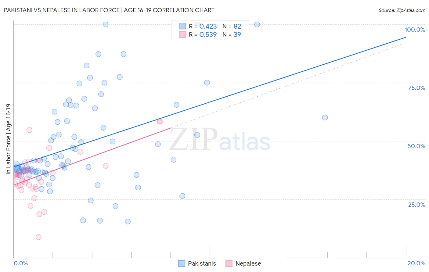 Pakistani vs Nepalese In Labor Force | Age 16-19