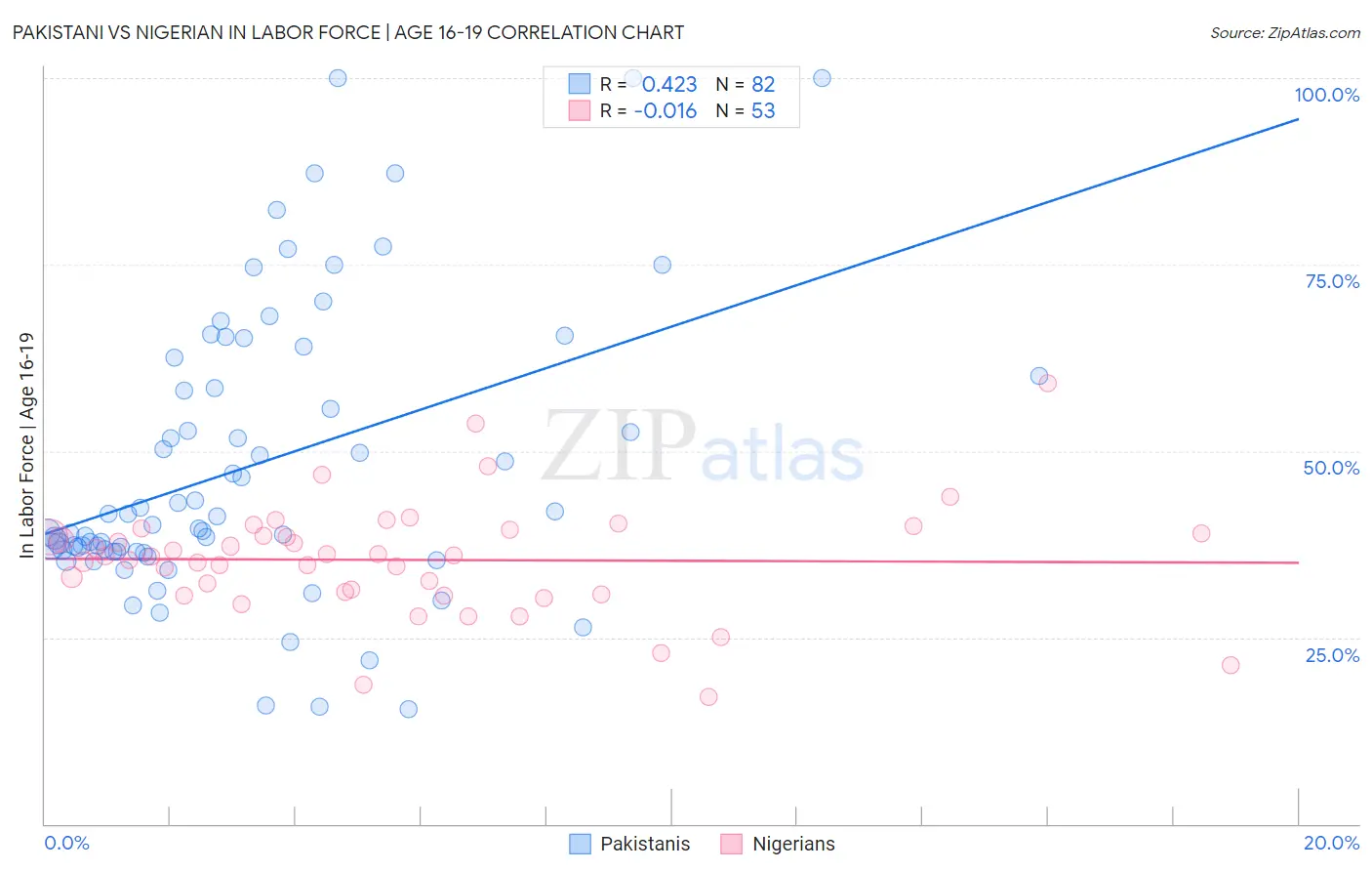 Pakistani vs Nigerian In Labor Force | Age 16-19
