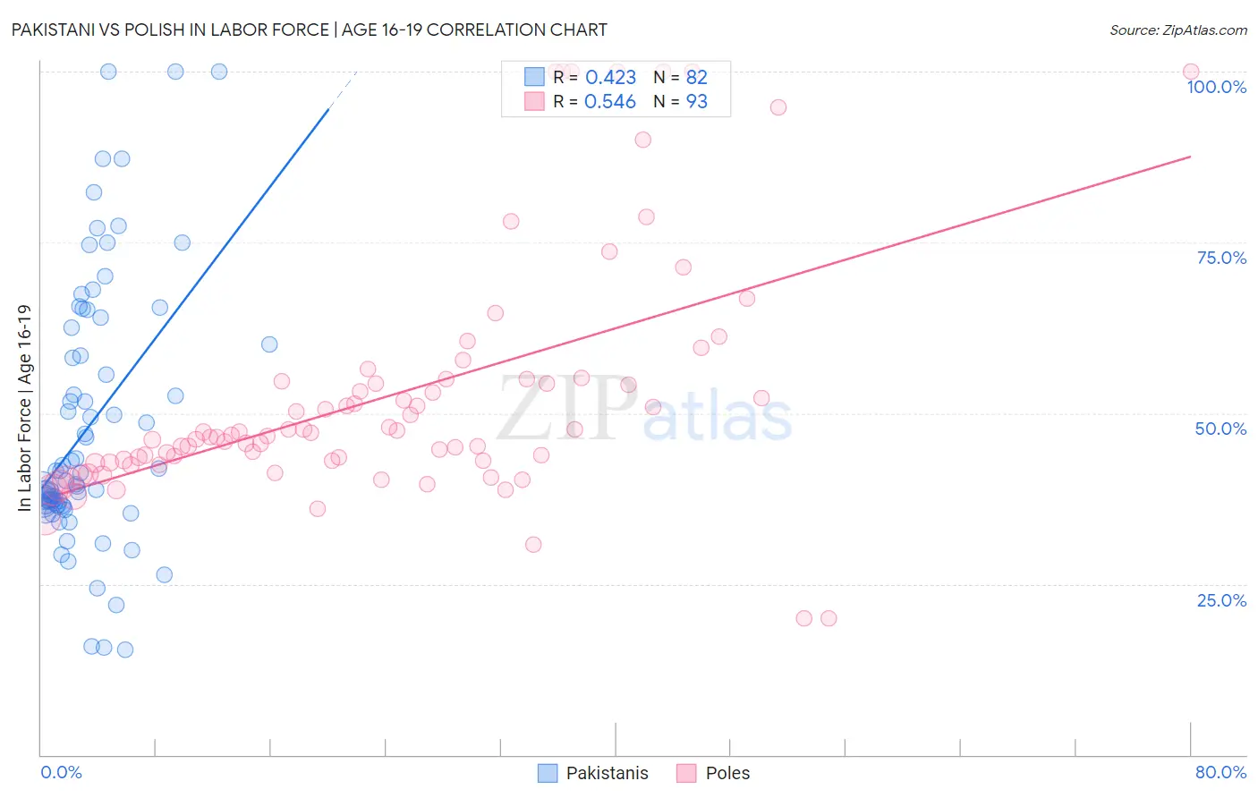 Pakistani vs Polish In Labor Force | Age 16-19