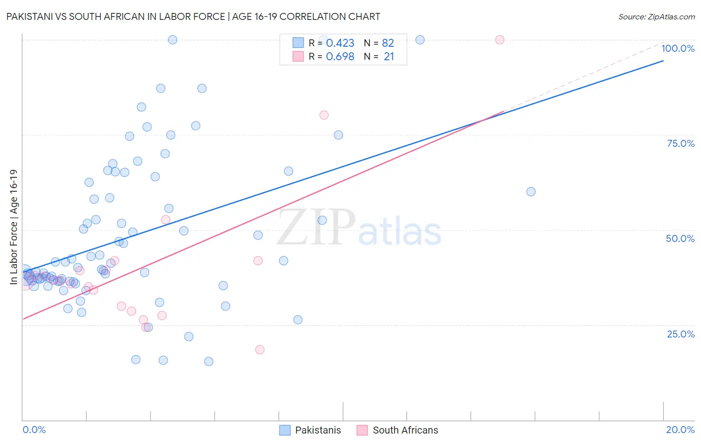 Pakistani vs South African In Labor Force | Age 16-19