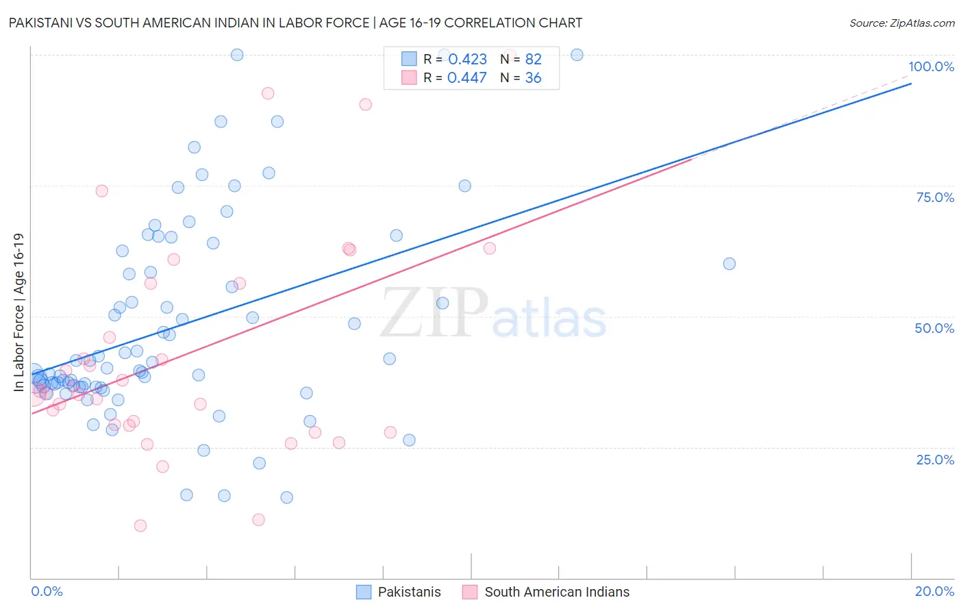 Pakistani vs South American Indian In Labor Force | Age 16-19