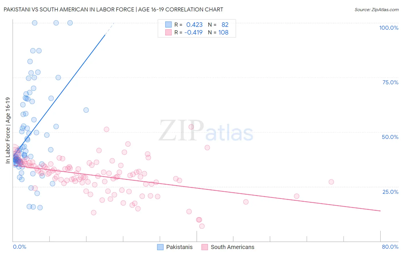 Pakistani vs South American In Labor Force | Age 16-19