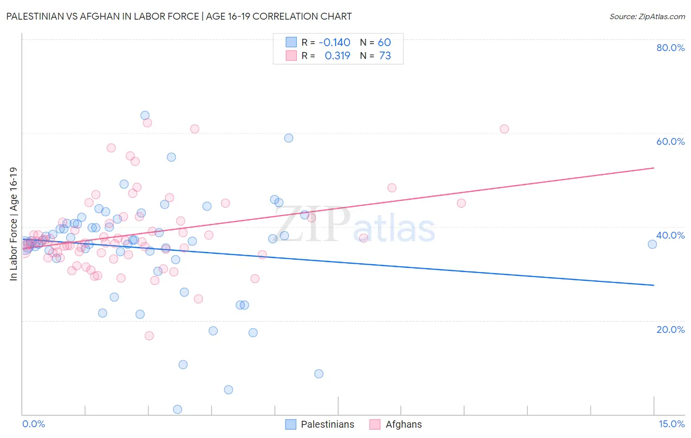 Palestinian vs Afghan In Labor Force | Age 16-19