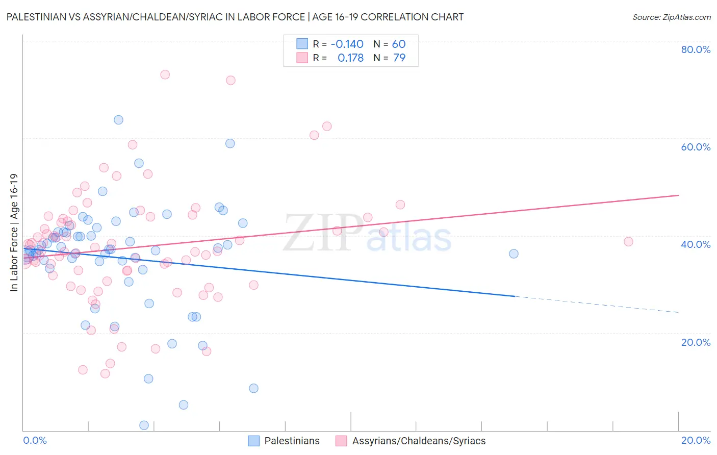 Palestinian vs Assyrian/Chaldean/Syriac In Labor Force | Age 16-19