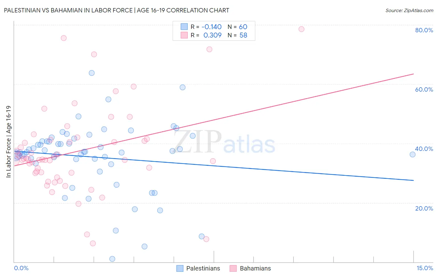 Palestinian vs Bahamian In Labor Force | Age 16-19