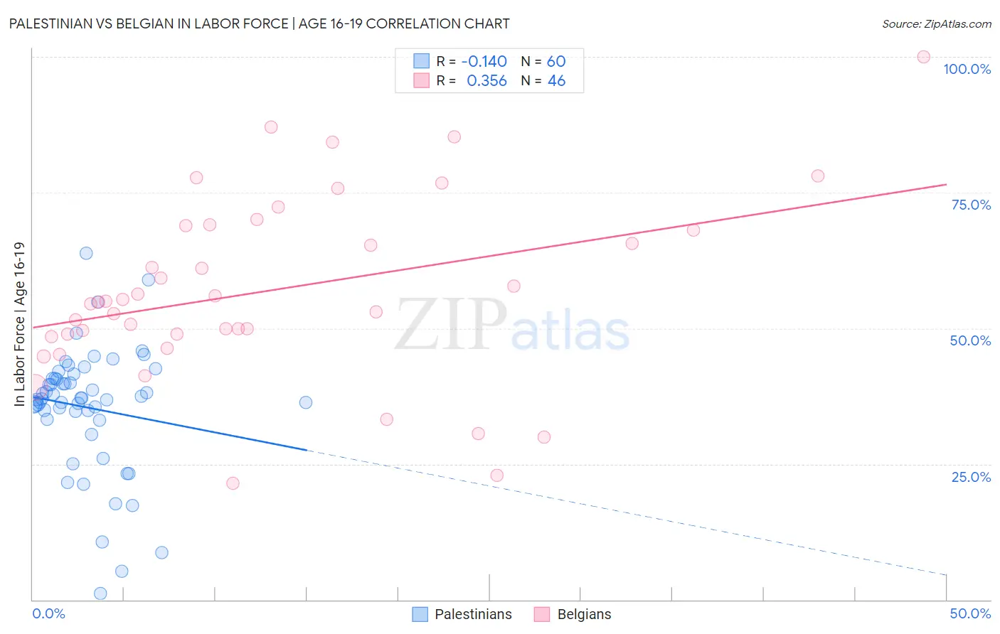 Palestinian vs Belgian In Labor Force | Age 16-19