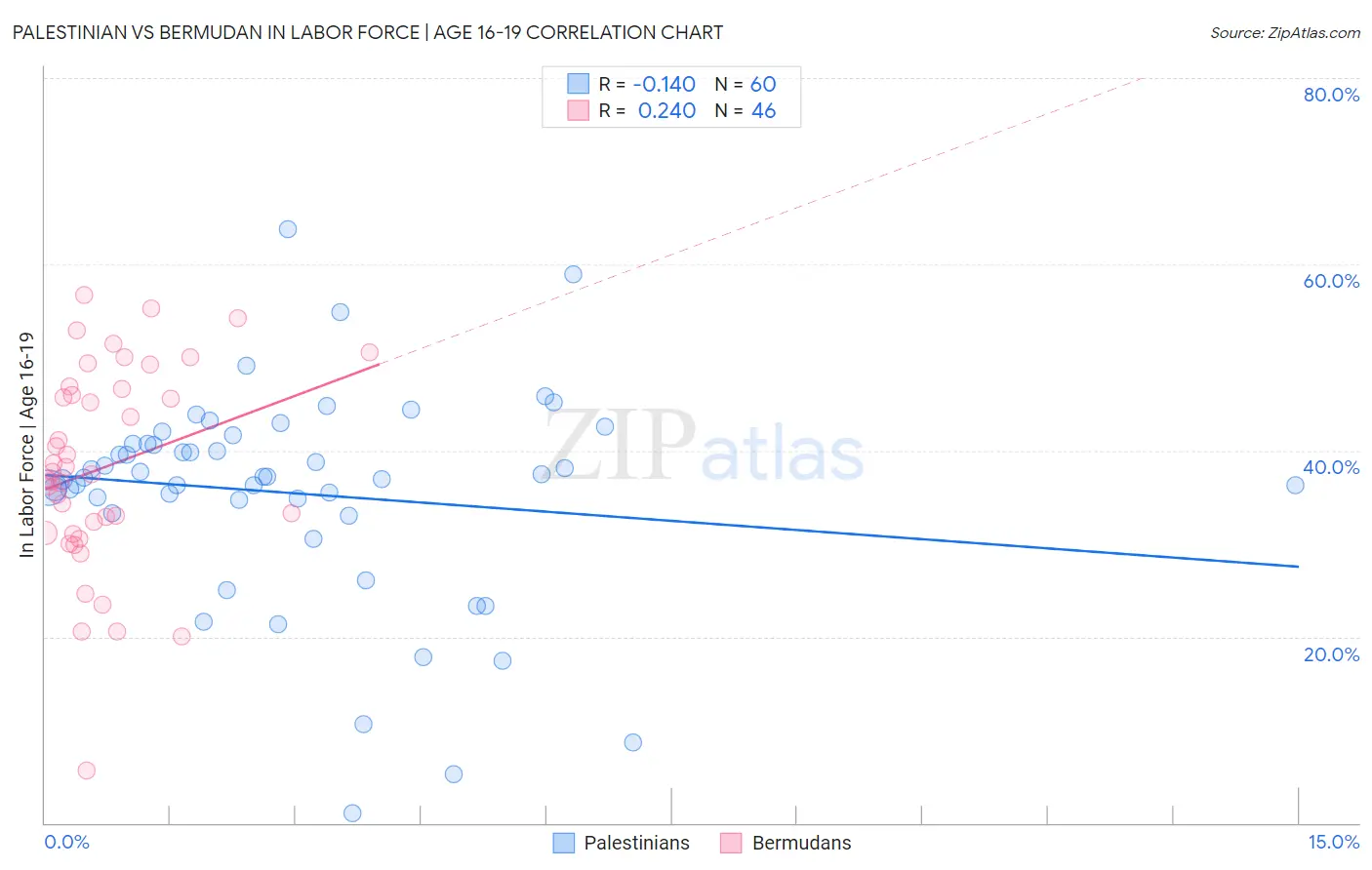 Palestinian vs Bermudan In Labor Force | Age 16-19