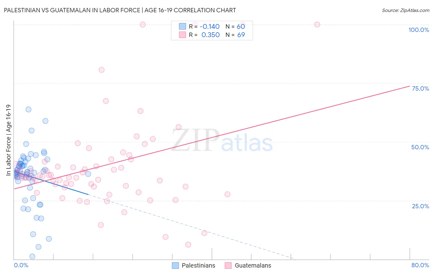 Palestinian vs Guatemalan In Labor Force | Age 16-19