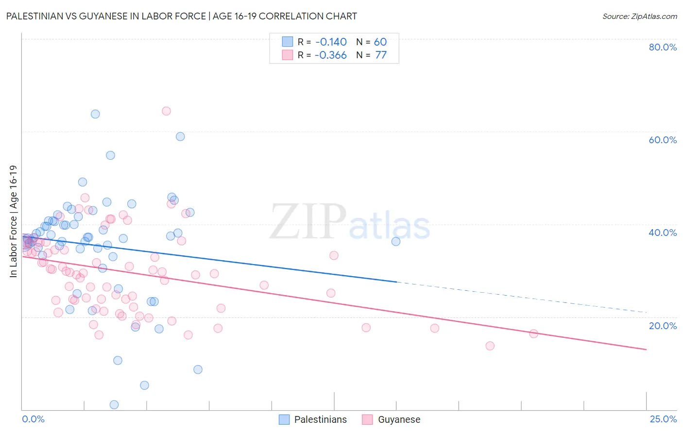 Palestinian vs Guyanese In Labor Force | Age 16-19