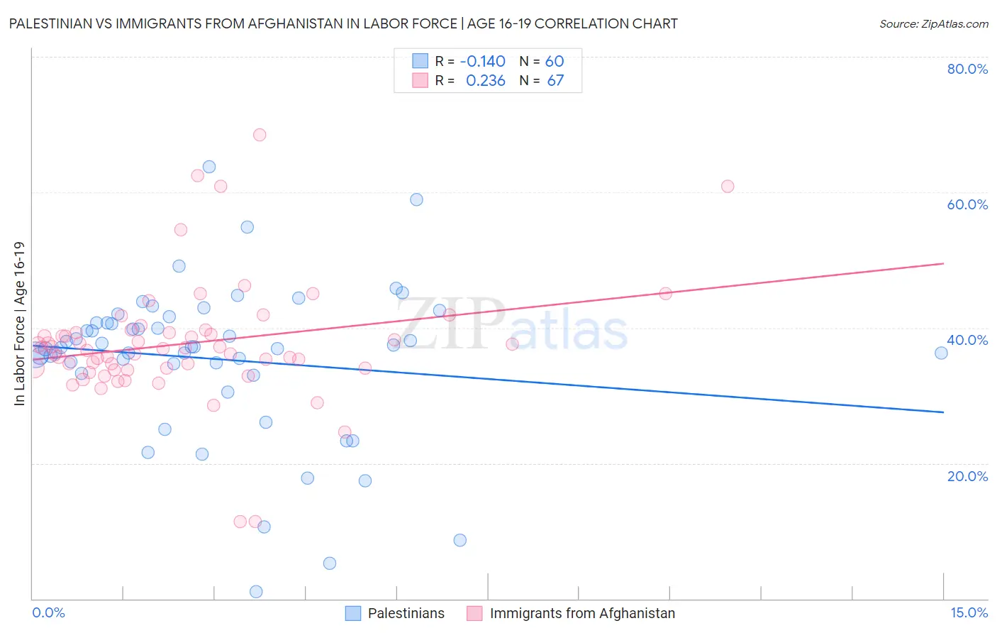 Palestinian vs Immigrants from Afghanistan In Labor Force | Age 16-19
