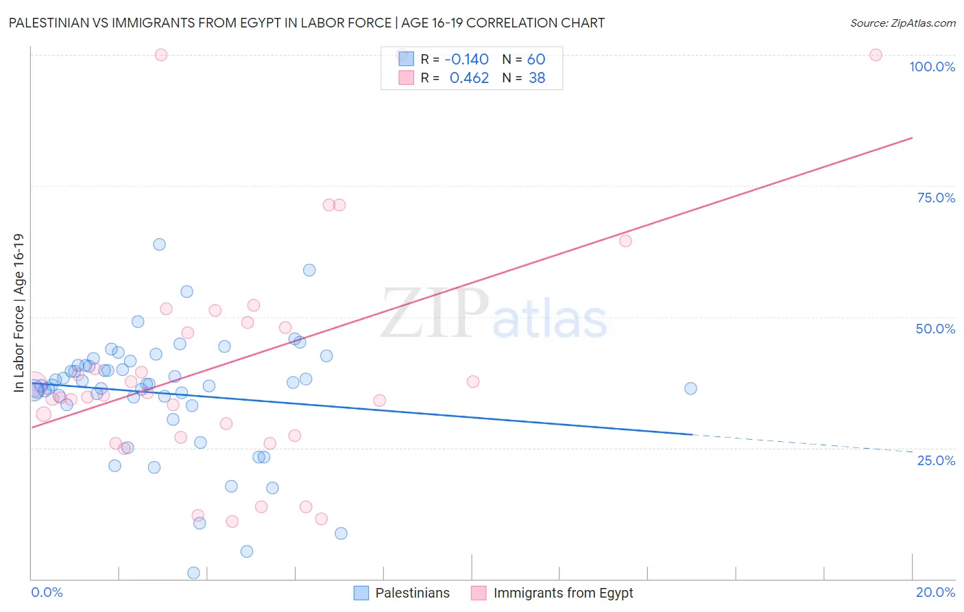 Palestinian vs Immigrants from Egypt In Labor Force | Age 16-19