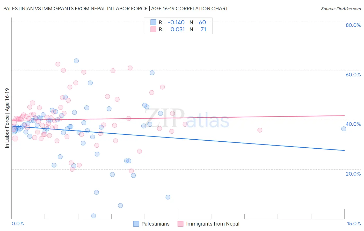 Palestinian vs Immigrants from Nepal In Labor Force | Age 16-19