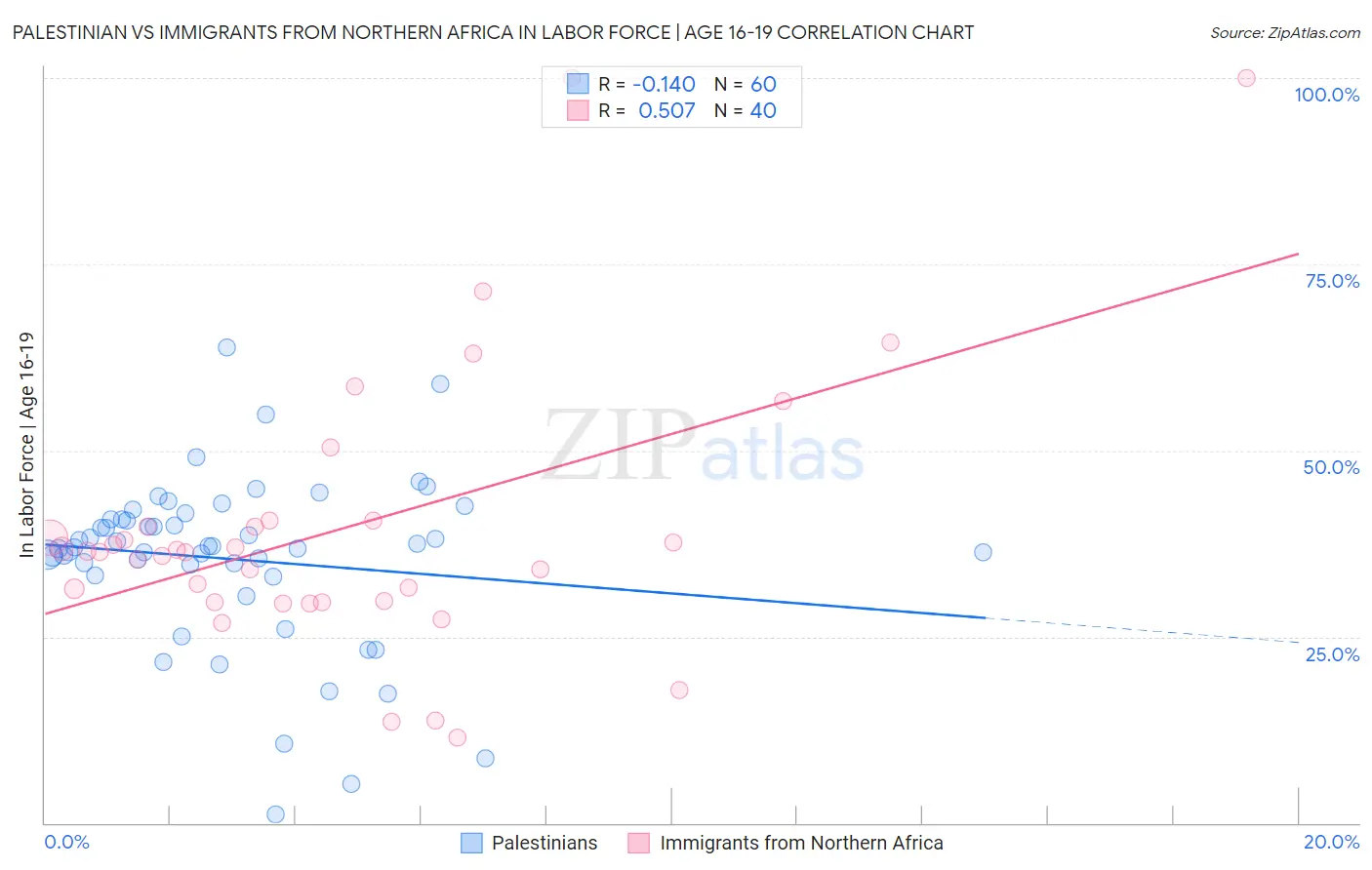 Palestinian vs Immigrants from Northern Africa In Labor Force | Age 16-19