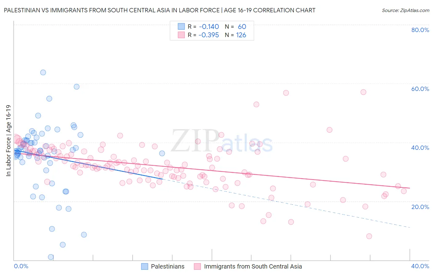 Palestinian vs Immigrants from South Central Asia In Labor Force | Age 16-19