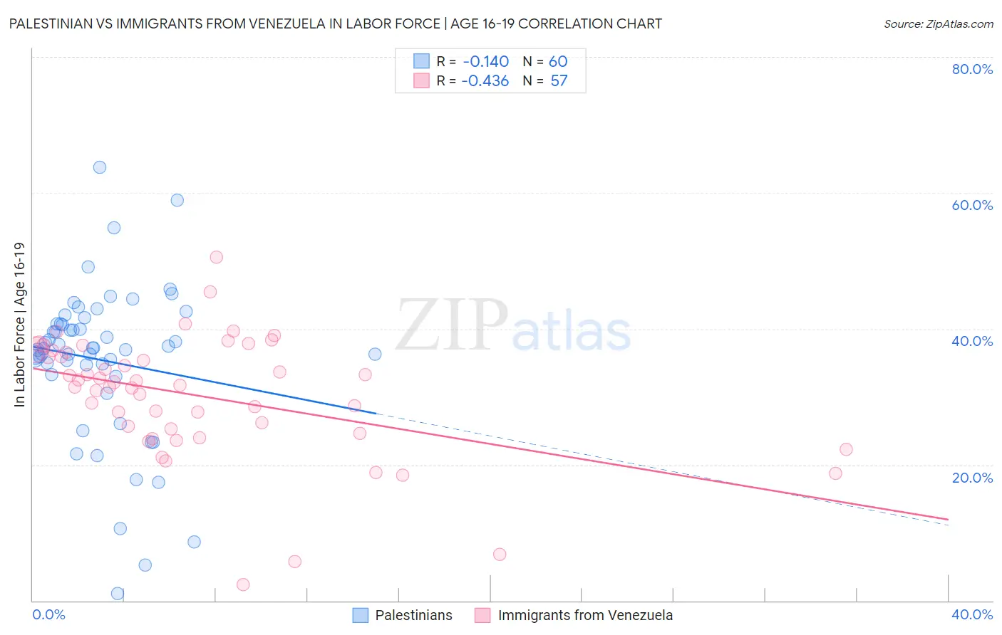 Palestinian vs Immigrants from Venezuela In Labor Force | Age 16-19
