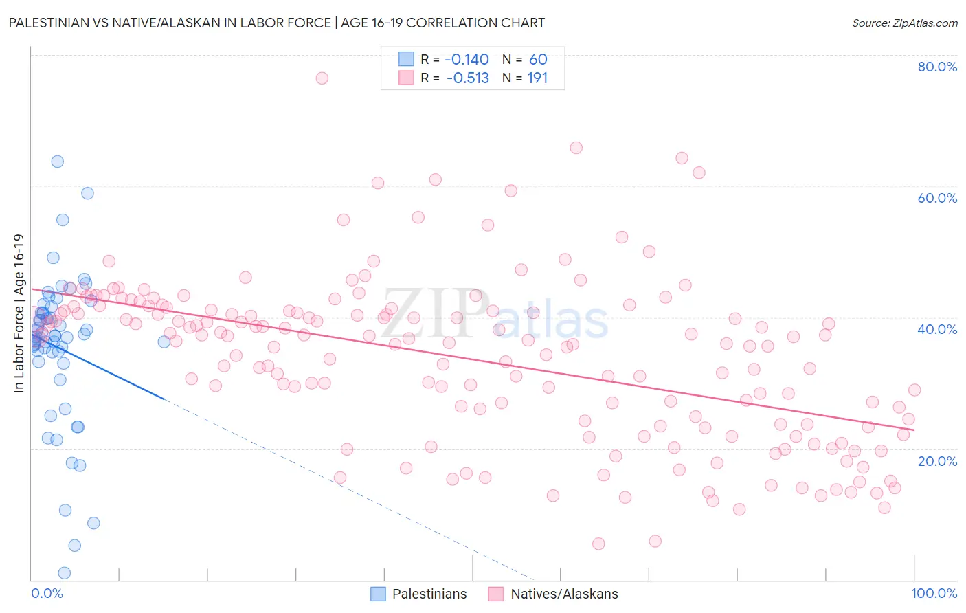 Palestinian vs Native/Alaskan In Labor Force | Age 16-19