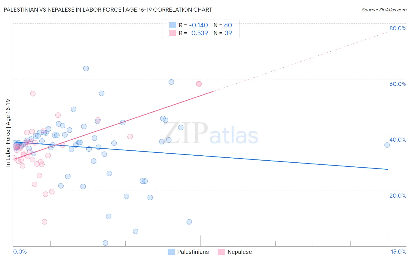 Palestinian vs Nepalese In Labor Force | Age 16-19