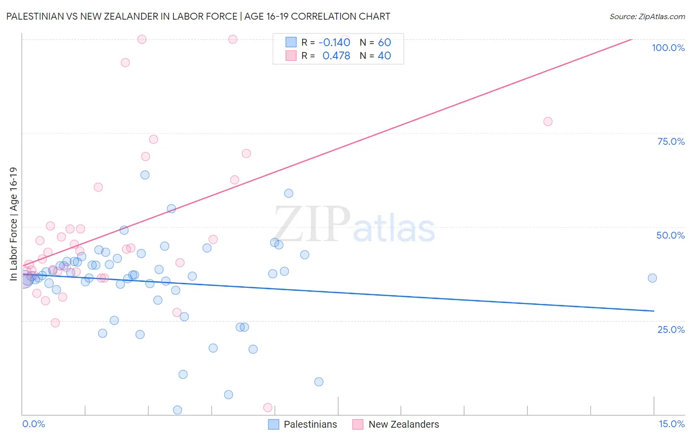 Palestinian vs New Zealander In Labor Force | Age 16-19