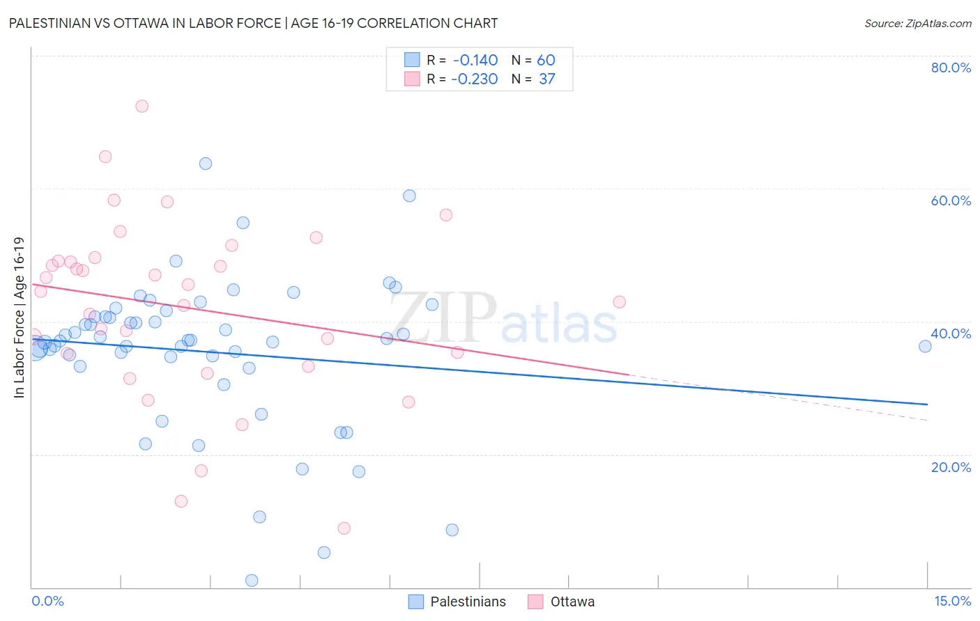 Palestinian vs Ottawa In Labor Force | Age 16-19