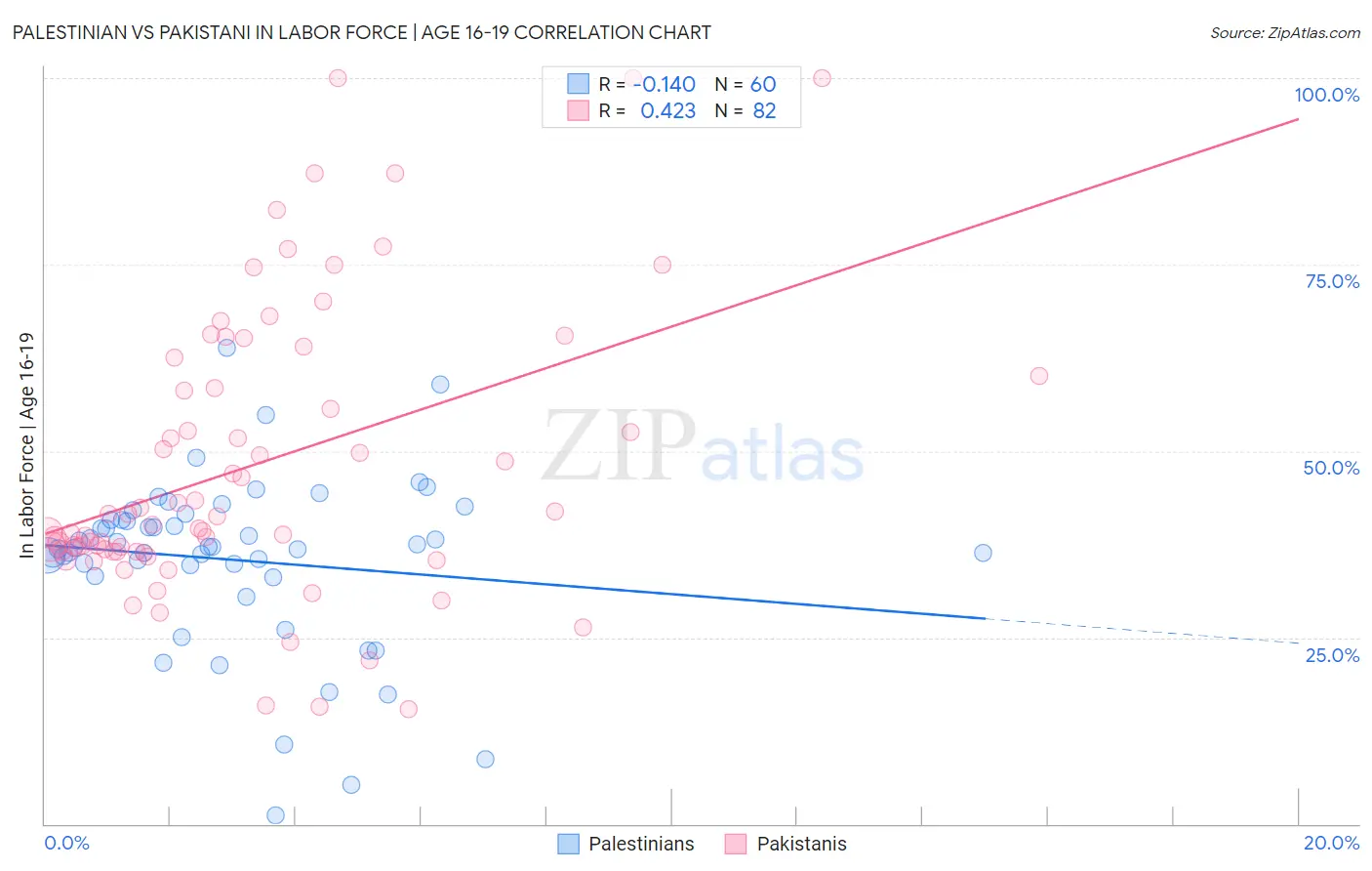 Palestinian vs Pakistani In Labor Force | Age 16-19