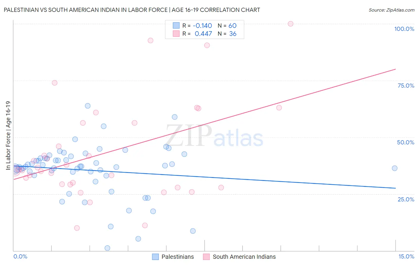 Palestinian vs South American Indian In Labor Force | Age 16-19
