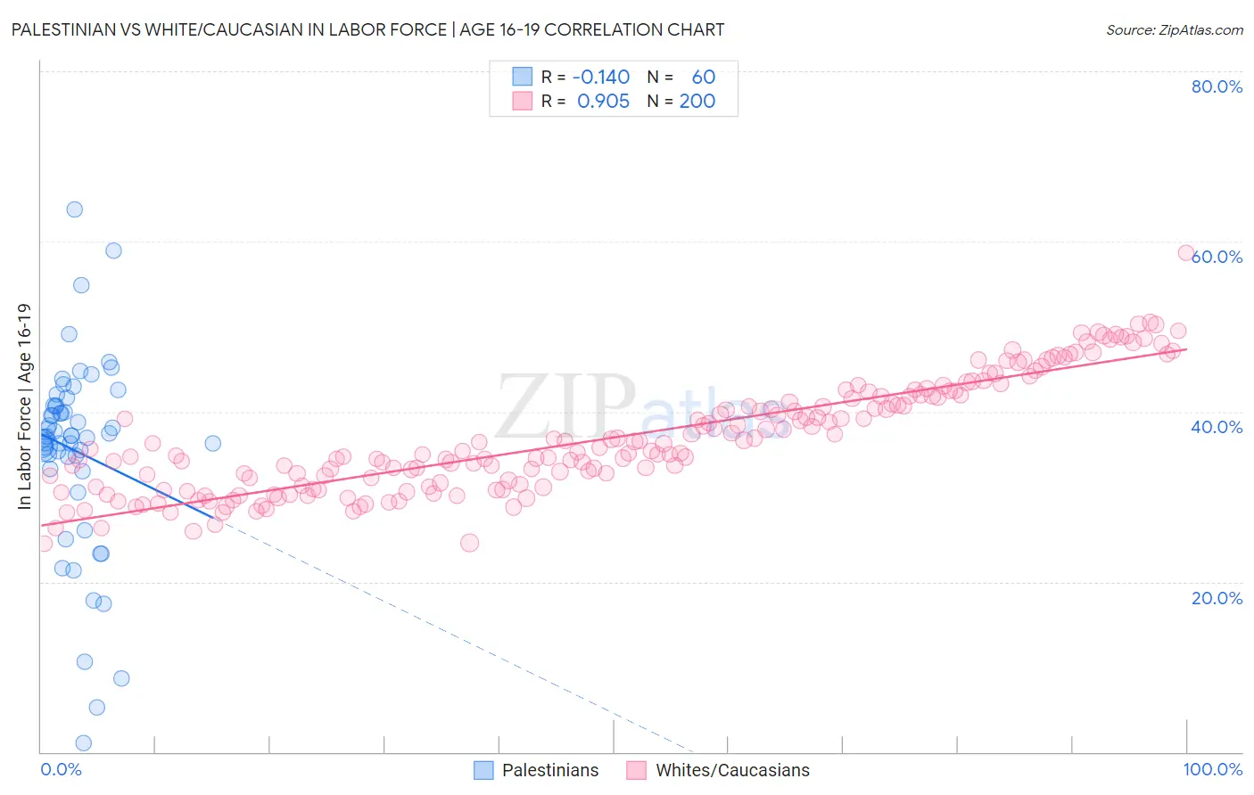 Palestinian vs White/Caucasian In Labor Force | Age 16-19