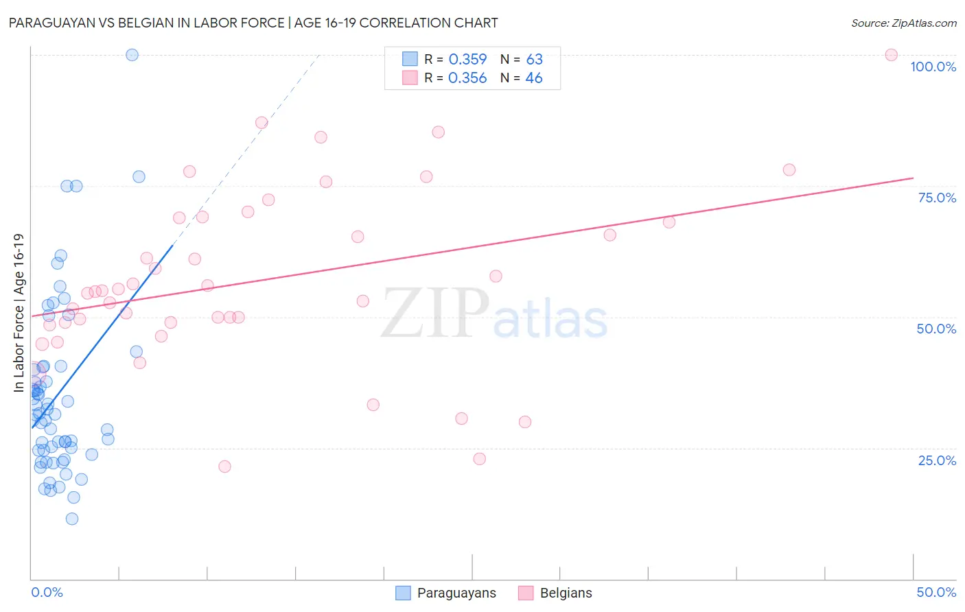 Paraguayan vs Belgian In Labor Force | Age 16-19