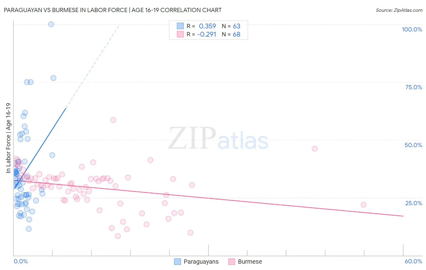 Paraguayan vs Burmese In Labor Force | Age 16-19