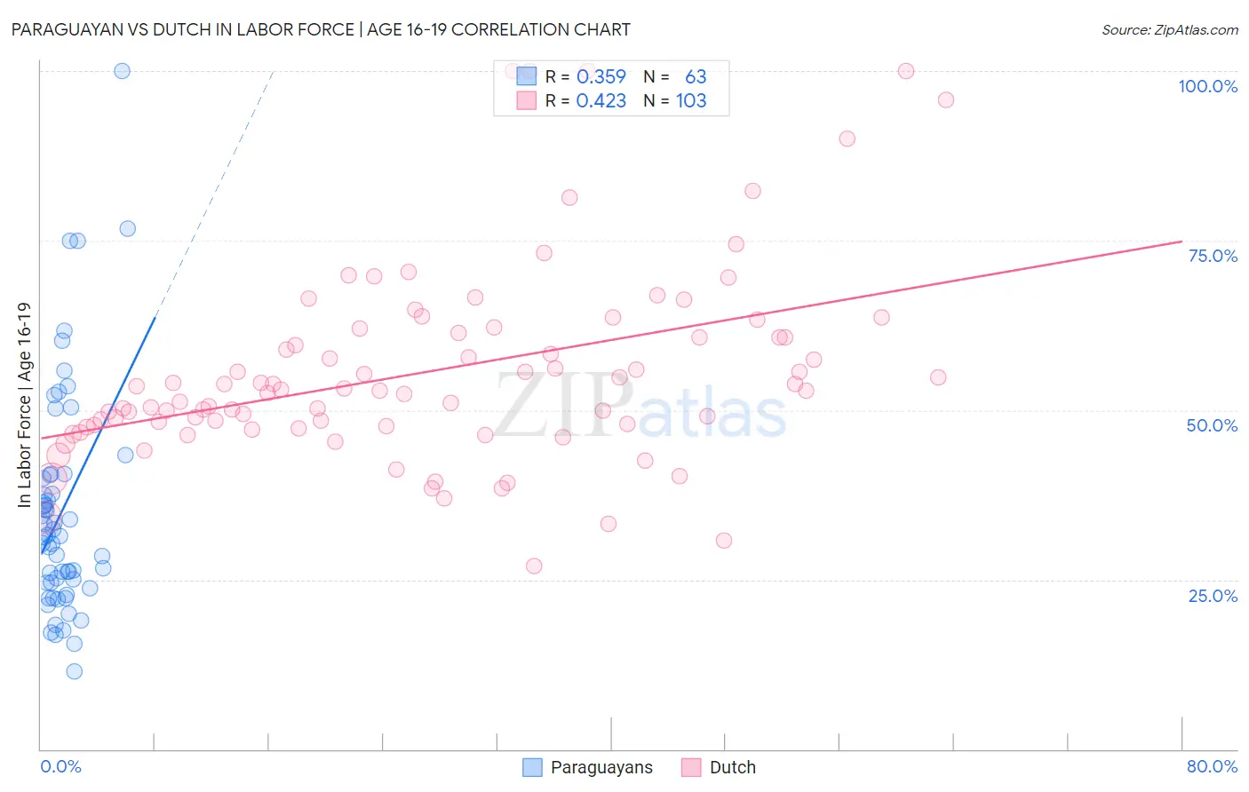 Paraguayan vs Dutch In Labor Force | Age 16-19