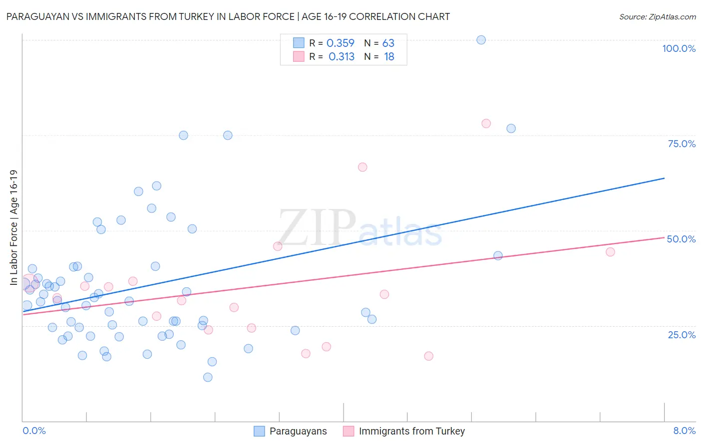 Paraguayan vs Immigrants from Turkey In Labor Force | Age 16-19