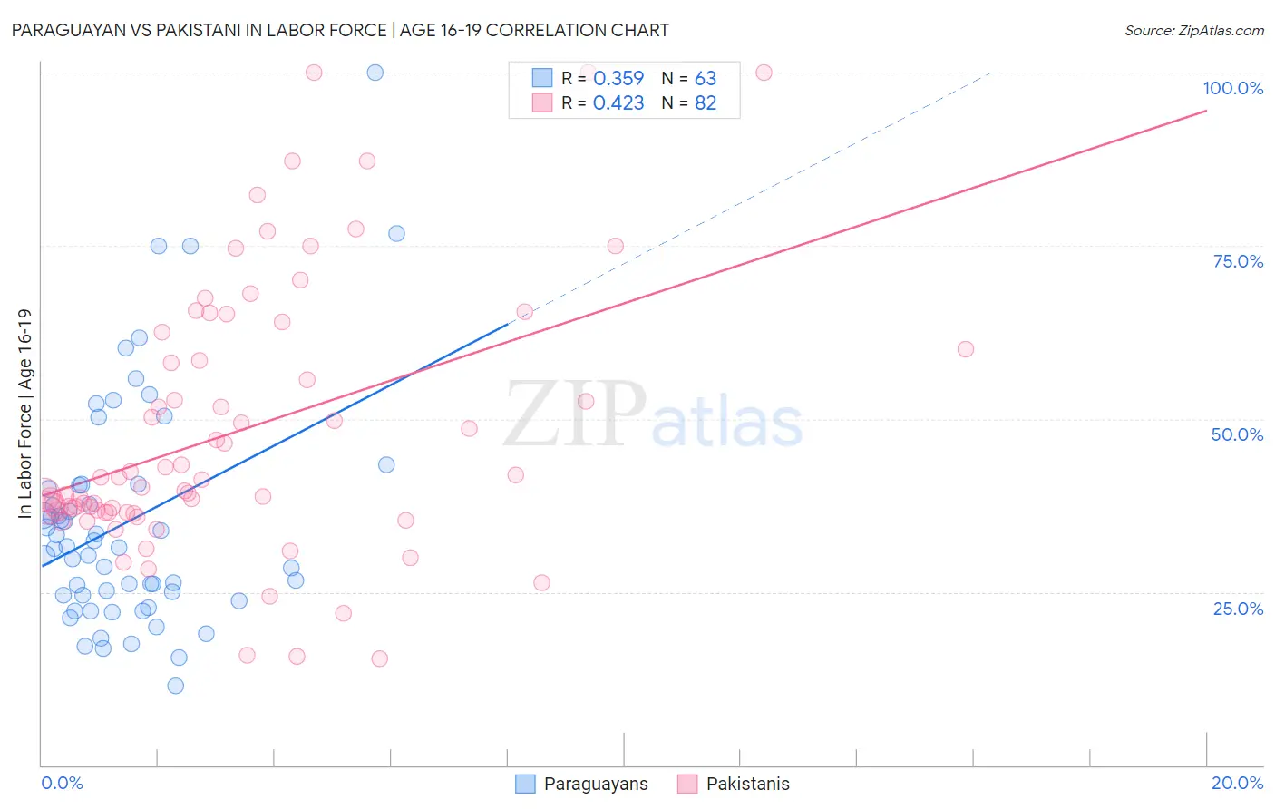Paraguayan vs Pakistani In Labor Force | Age 16-19
