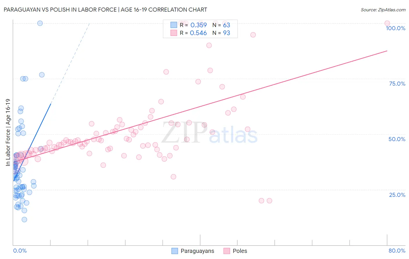 Paraguayan vs Polish In Labor Force | Age 16-19